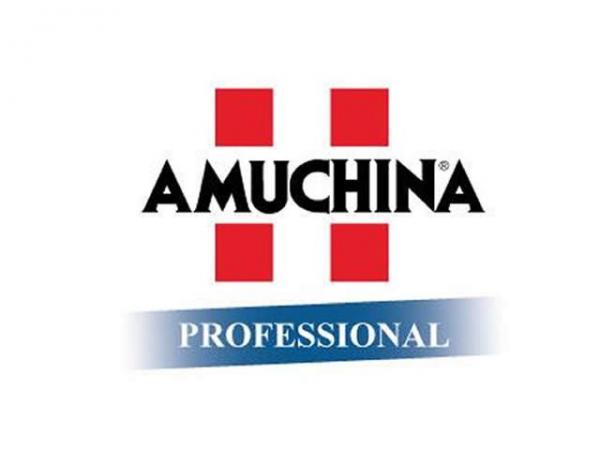 Amuchina Professional