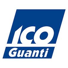 Icoguanti
